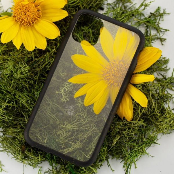 Pela iPhone 11 Pro Cover Miljøvenlig Klar Sort