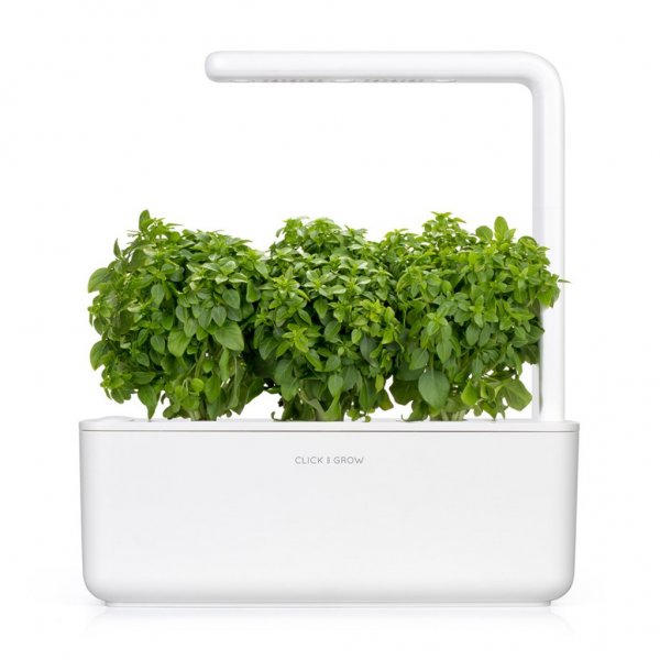 Click and Grow Smart Garden Refill 3-pak - Finbladet Basilikum