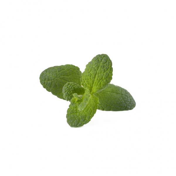 Click and Grow Smart Garden Refill 3-pak - Rundmynte