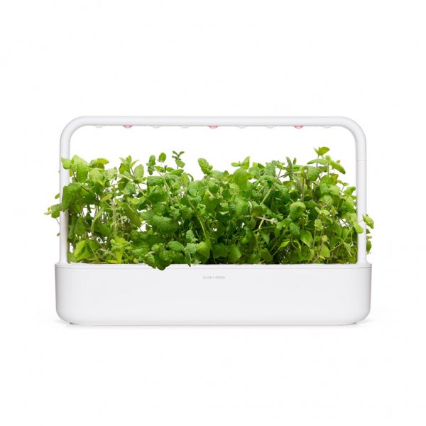Click and Grow Smart Garden Refill 3-pak - Rundmynte