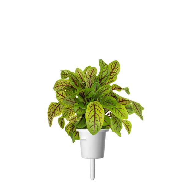 Click and Grow Smart Garden Refill 3-pak - Skovsyre