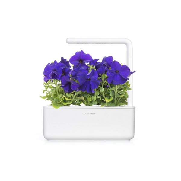 Click and Grow Smart Garden Refill 3-pak - Blå Petunia