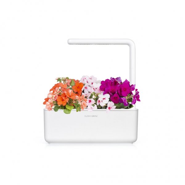 Click and Grow Smart Garden Refill 3-pak - Flittige Lise