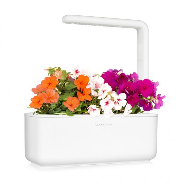 Click and Grow Smart Garden Refill 3-pak - Flittige Lise
