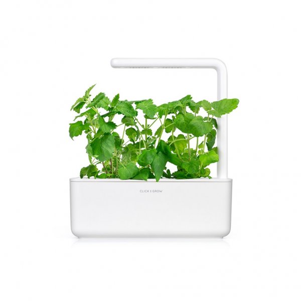 Click and Grow Smart Garden Genopfyldning 3-pak - Katteurt