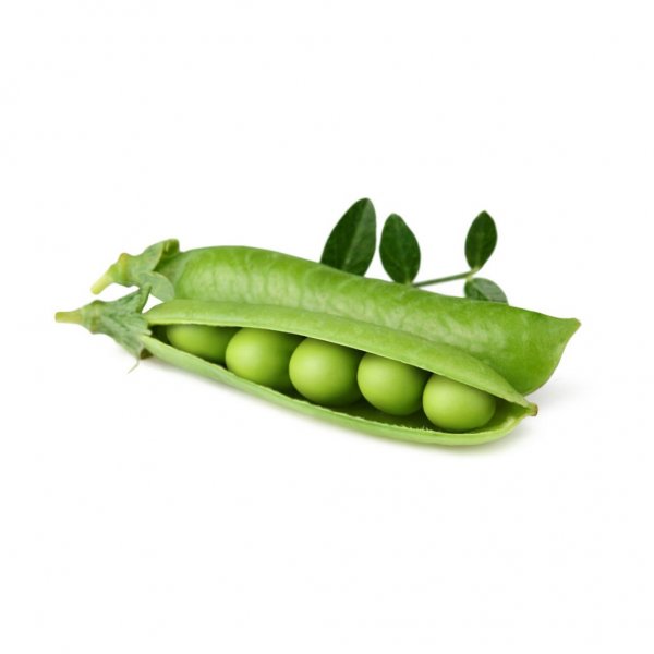 Click and Grow Smart Garden Refill 3-pak - Dværgært