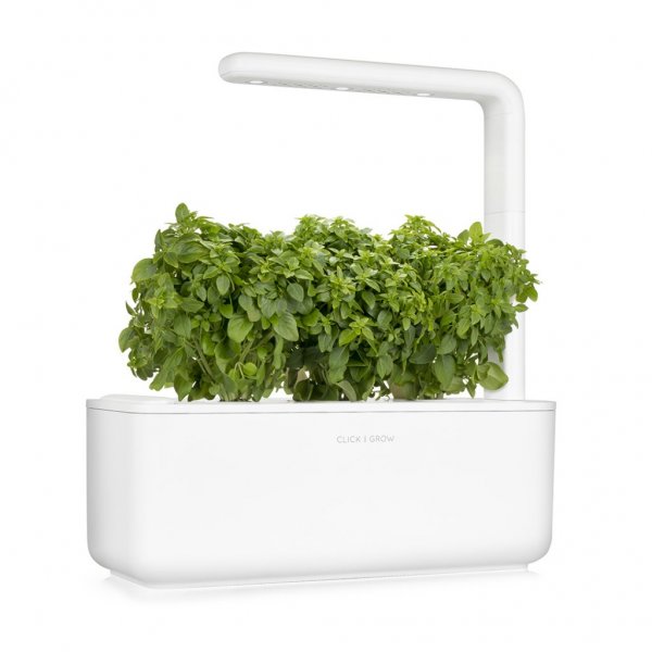 Click and Grow Smart Garden Refill 3-pak - Finbladet Basilikum