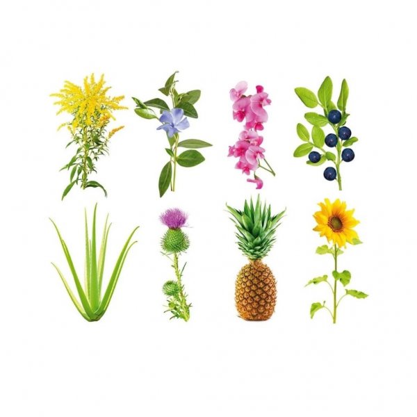 Click and Grow Smart Garden Refill 3-pak - Experimental