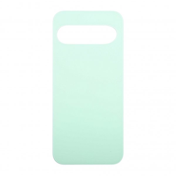 Google Pixel 9 Bagside - Wintergreen