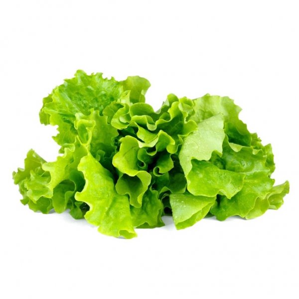 Click and Grow Smart Garden Refill 3-pak - Bladsalat