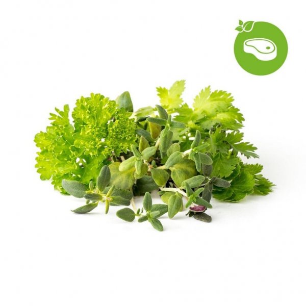 Click and Grow Smart Garden Refill 9-pak Grill & Steak Mix