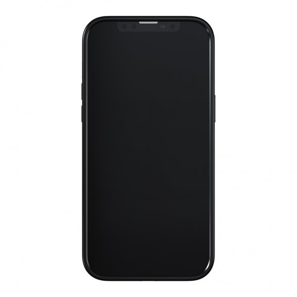 Richmond & Finch iPhone 13 Pro Max Cover Jungle Flow