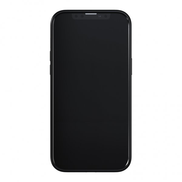 Richmond & Finch iPhone 13 Pro Max Cover Zebra