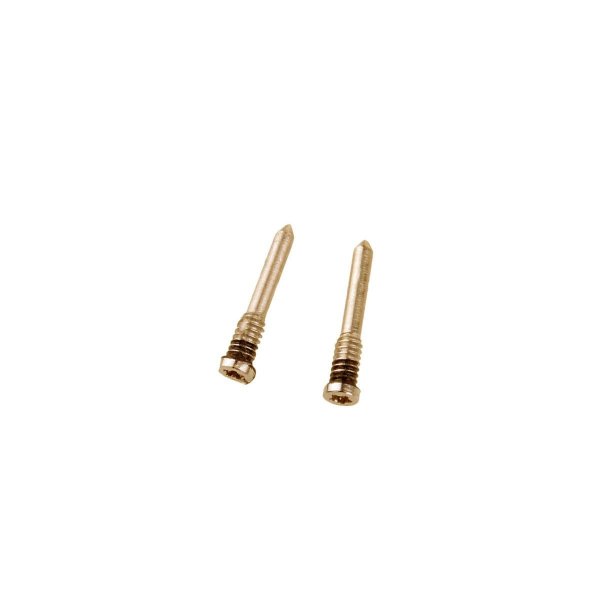 iPhone XS/XR/XS Max Bundskruer 2 stk. - Guld