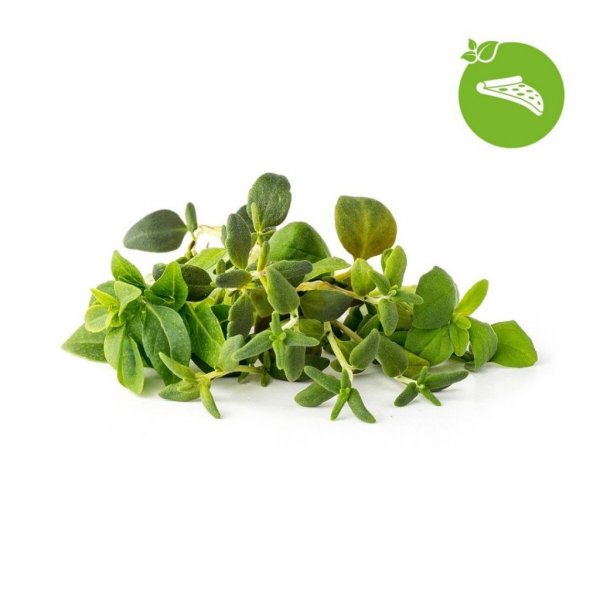 Click and Grow Smart Garden Genopfyldning 9-pak Italienske urter