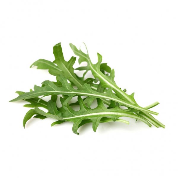 Click and Grow Smart Garden Refill 3-pak - Refill til bladsennep