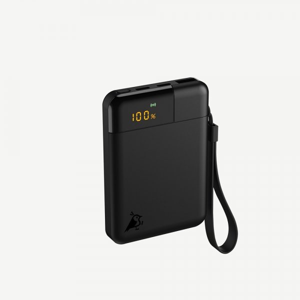 Aqiila Powerbank Powerbird B5 5 000 mAh 12W Sort