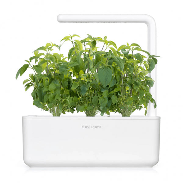 Click and Grow Smart Garden Refill 3-pak - Thai basilikum