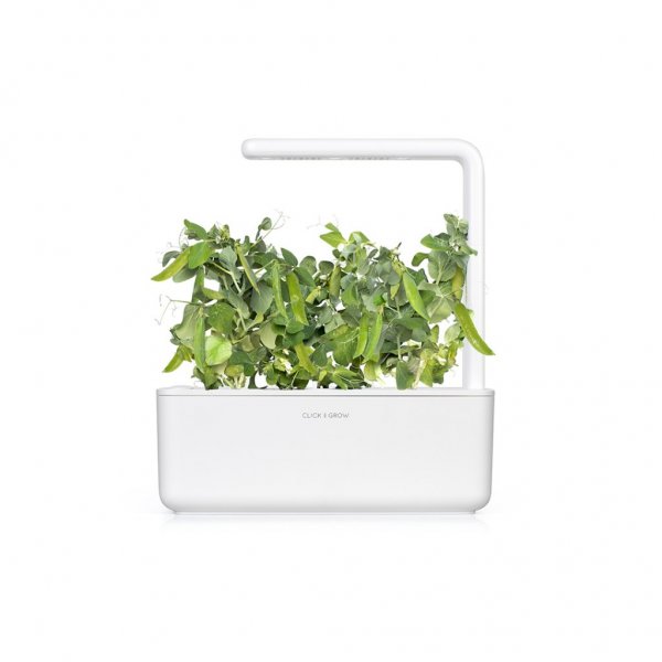 Click and Grow Smart Garden Refill 3-pak - Dværgært