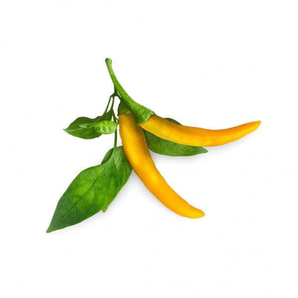 Click and Grow Smart Garden Refill 3-pak - Gul Chiliflager