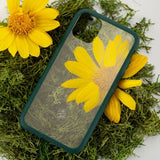 Pela iPhone 11 Cover Eco Friendly Clear Grøn