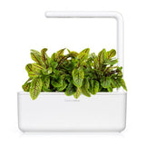 Click and Grow Smart Garden Refill 3-pak - Skovsyre