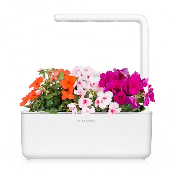 Click and Grow Smart Garden Refill 3-pak - Flittige Lise