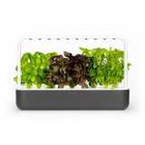 Click and Grow Smart Garden 9 Startkit - Mørkegrå