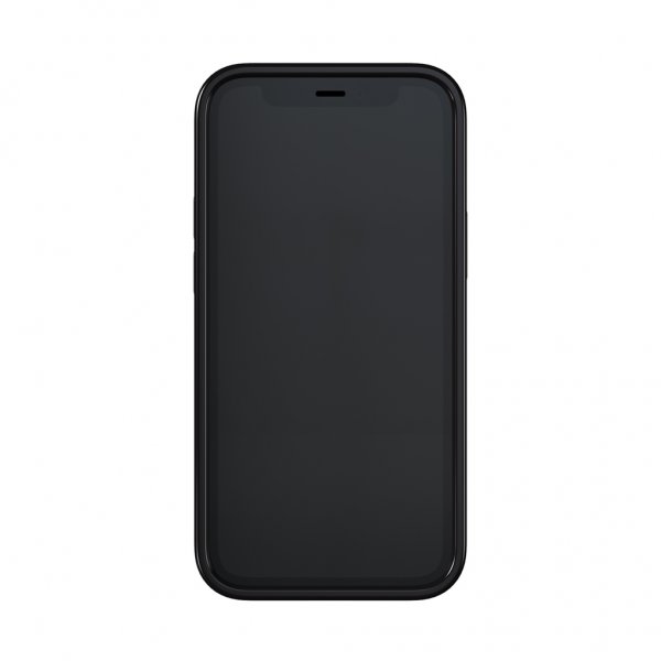 Richmond & Finch iPhone 12 Mini Cover Black Marble