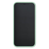 Richmond & Finch iPhone 12 Pro Max Cover Sweet Mint