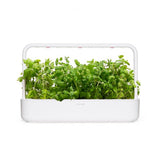 Click and Grow Smart Garden Refill 3-pak - Rundmynte