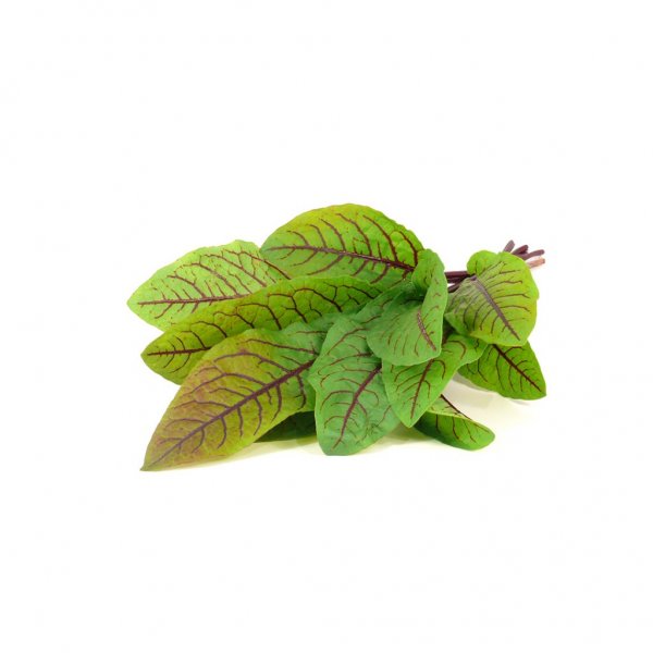 Click and Grow Smart Garden Refill 3-pak - Skovsyre