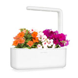 Click and Grow Smart Garden Refill 3-pak - Flittige Lise