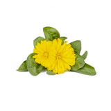 Click and Grow Smart Garden Refill 3-pak - Morgenfrue