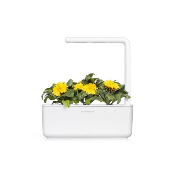 Click and Grow Smart Garden Refill 3-pak - Morgenfrue
