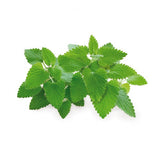 Click and Grow Smart Garden Genopfyldning 3-pak - Katteurt