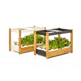 Click and Grow 25 - Hvid (Salatgrønt 54x pakke)