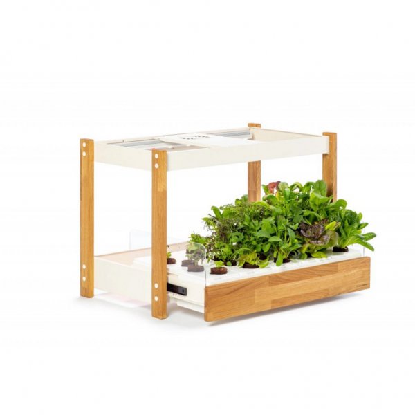 Click and Grow 25 - Hvid (Salatgrønt 54x pakke)