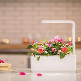 Click and Grow Smart Garden 3 Startsæt - Mellow Beige