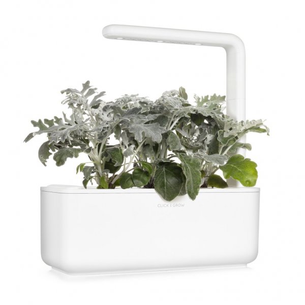 Click and Grow Smart Garden Refill 3-pak - Sølv-eg