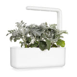 Click and Grow Smart Garden Refill 3-pak - Sølv-eg