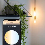Lite bulb moments White Ambience E27 Filamentpære - 3-pak