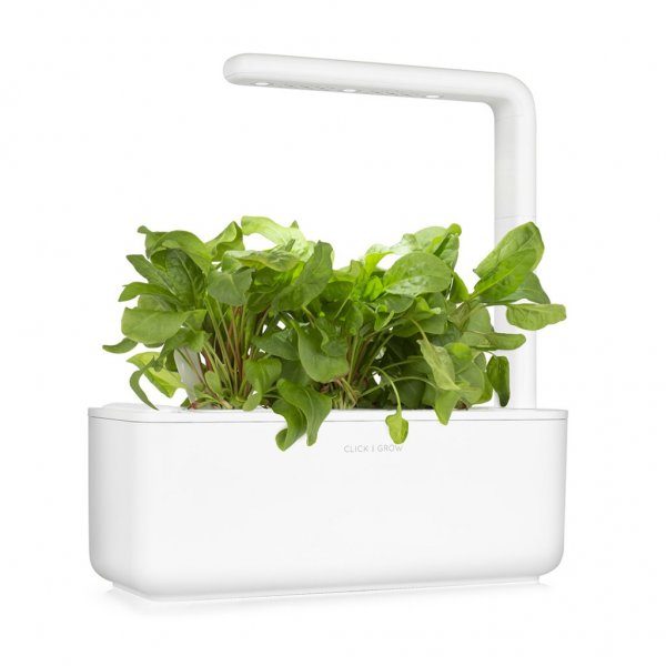 Click and Grow Smart Garden Refill 3-pak - Engsyre