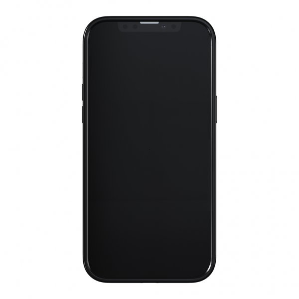 Richmond & Finch iPhone 13 Pro Max Cover Blue Cheetah