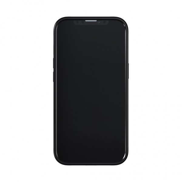 Richmond & Finch iPhone 13 Pro Cover Emerald Zebra