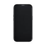 Richmond & Finch iPhone 13 Pro Cover Emerald Zebra