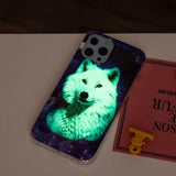 iPhone 14 Pro Max Cover Motiv Polarulv