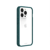 Pela iPhone 13 Pro Cover Miljøvenligt Gennemsigtigt Grøn