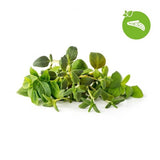 Click and Grow Smart Garden Genopfyldning 9-pak Italienske urter