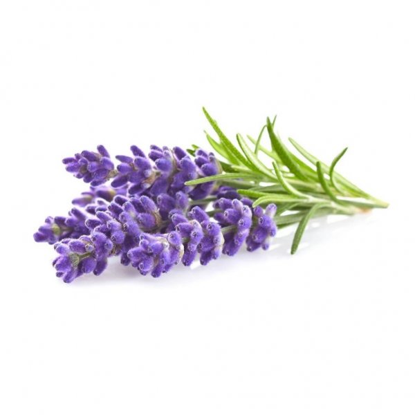 Click and Grow Smart Garden Refill 3-pak - Lavendel
